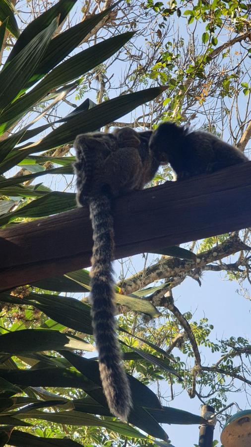 Сasa de vacaciones Casa Da Ilha Em Ilhabela